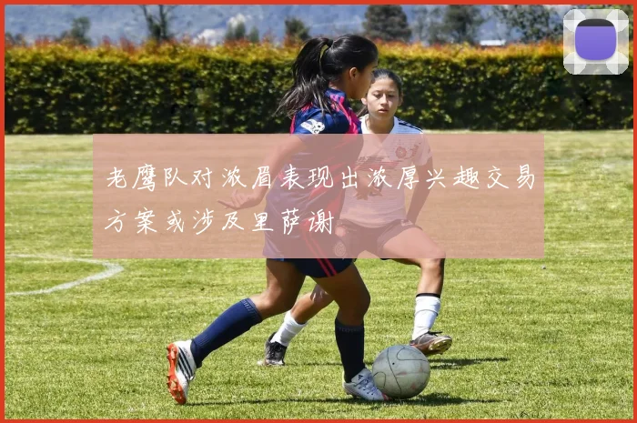 老鹰队对浓眉表现出浓厚兴趣交易方案或涉及里萨谢