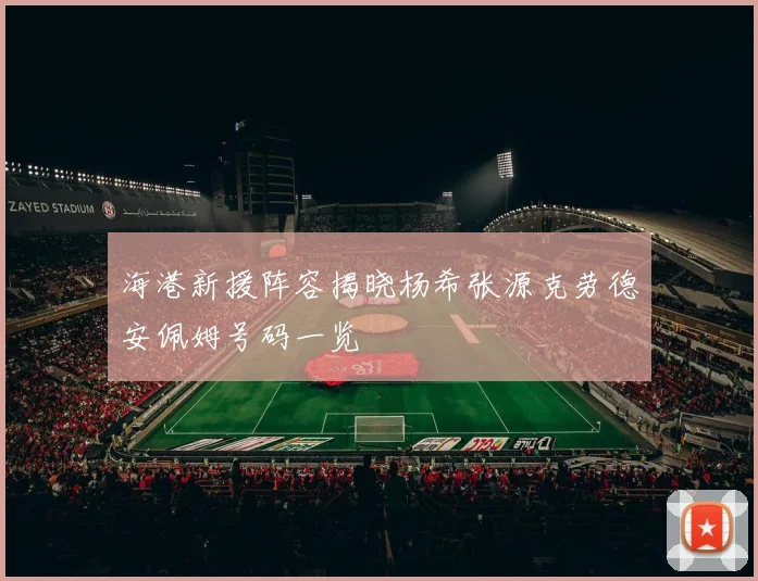 海港新援阵容揭晓杨希张源克劳德安佩姆号码一览
