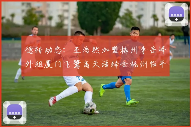 德转动态：王浩然加盟梅州李岳峰外租厦门飞鹭高天语转会杭州临平吴越