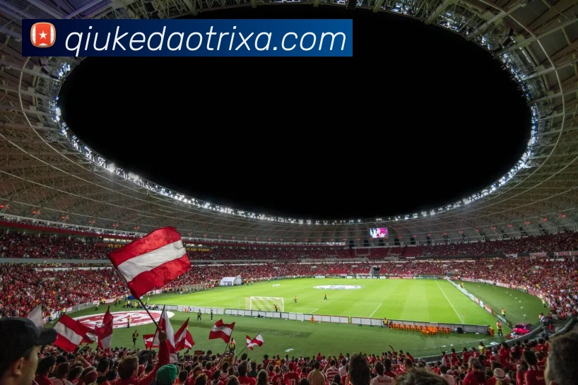 球客岛平台生态图